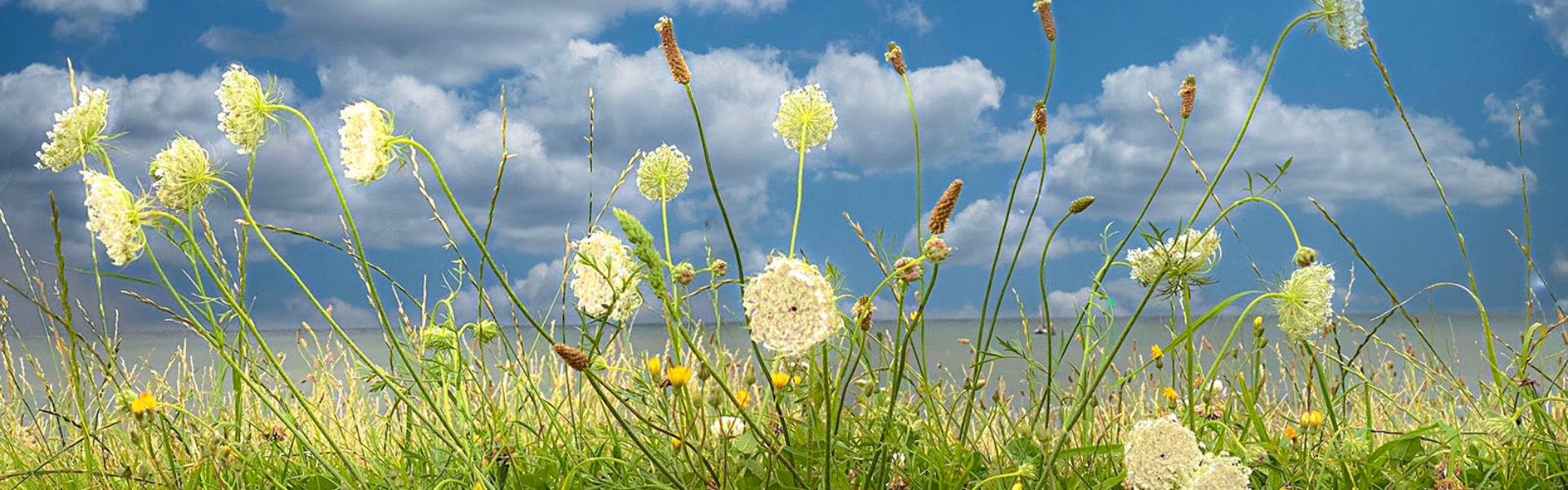 Duurzaamheid Vlieland