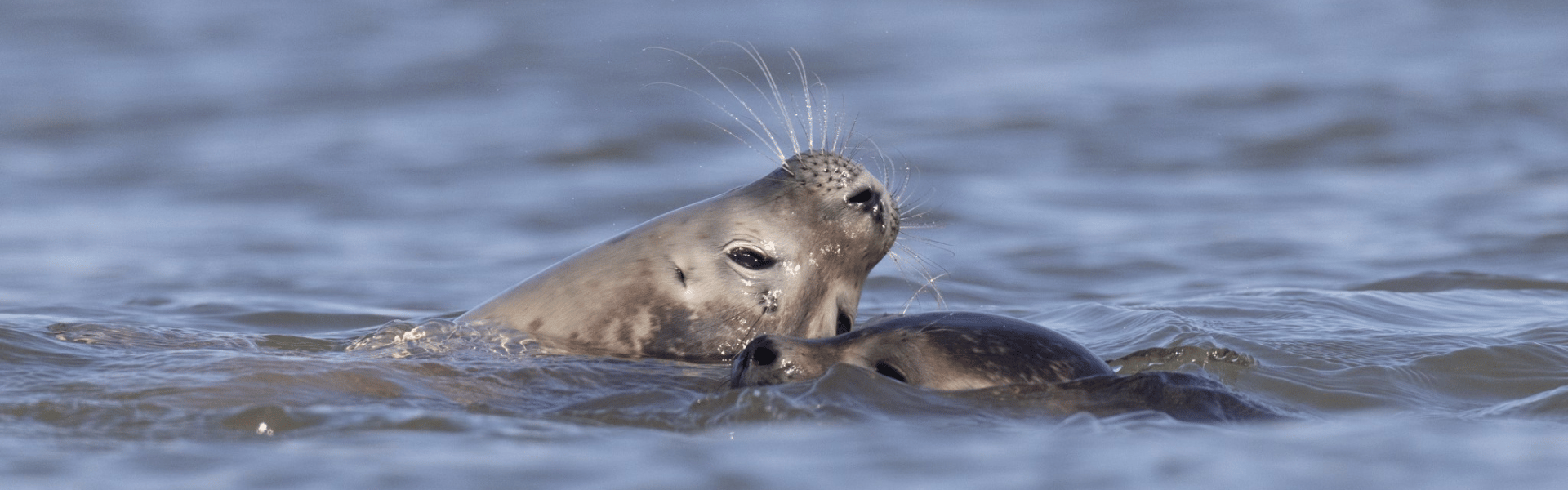Duurzaamheid Vlieland