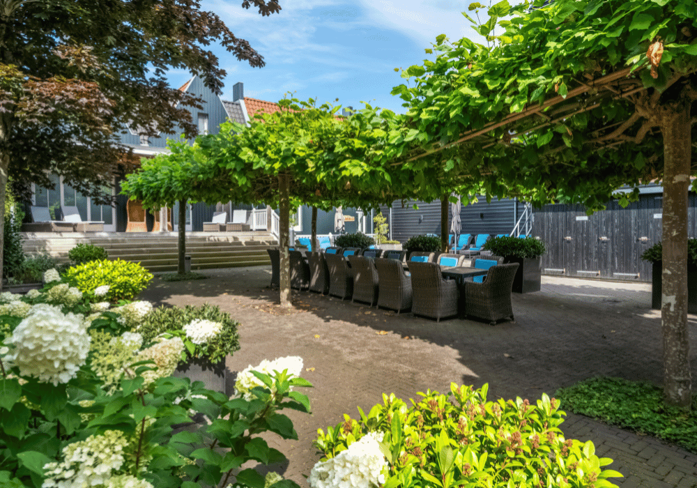 Blog - Vergaderen op Vlieland - Binnentuin
